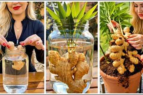 13 DIY Garden Tricks You’ve Never Seen Hidden Home Gardening Secrets