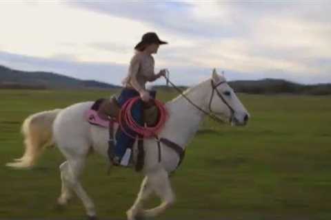 Harris Personal Injury Lawyers - Tara Twisselman Super Bowl Commercial