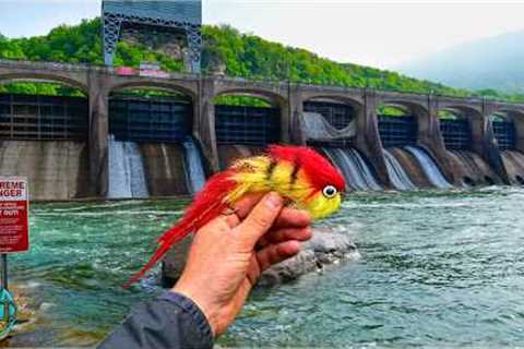 48 Hours Hunting the Most Dangerous Fish in West Virginia!! (Fly Fishing for Musky)