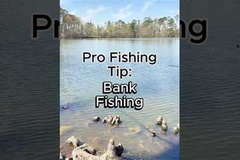 3 Bank Fishing Tips #fishing #bankfishing #fishingtips #pondfishing