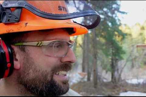 Turning Extreme Wilderness Into Off Grid Home - Homestead Work Continues - Land Clearing