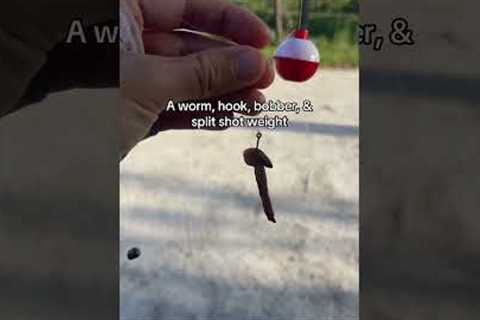 Catch More Fish with This Simple Worm &amp; Bobber Setup!
