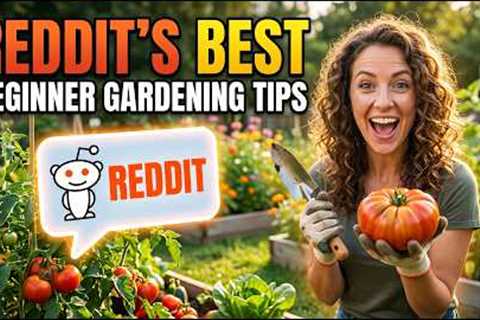 Reddit’s Best Beginner Gardening Tips