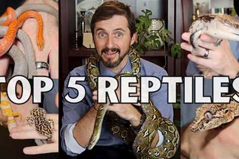 Top 5 Reptiles For Beginners