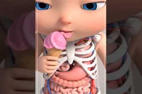 Healthy and Unhealthy Foods