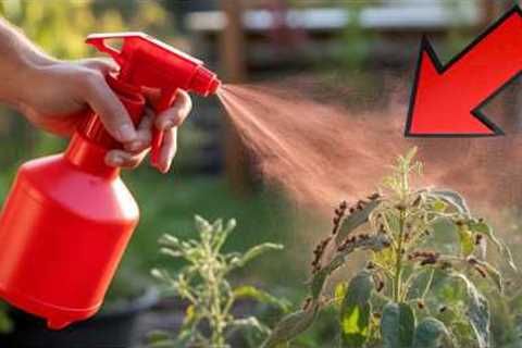 100% Stop Garden Pests FOR GOOD With These 13 Simple Tricks