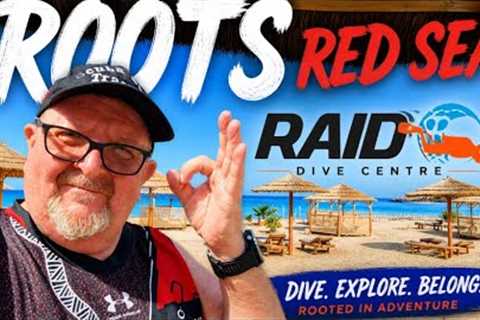 Red Sea SCUBA Diving Resort 🇪🇬 Roots Red Sea Review + Liveaboard, Safaga &amp; Freediving..