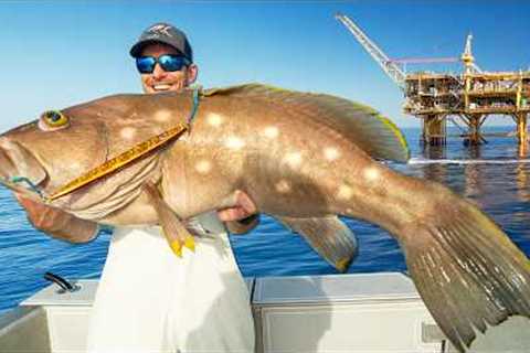 Massive Grouper &amp; Cobia under Huge Oil Rig (Catch Clean &amp; Cook)