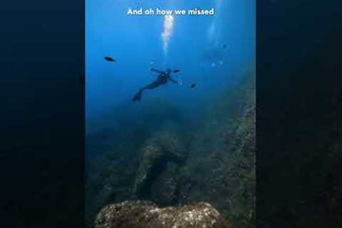 Scubadiving in Italy 🇮🇹