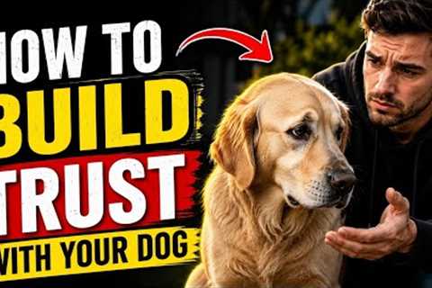 How to Build Trust With Your Dog | Easy Dog Training Tips for Beginners