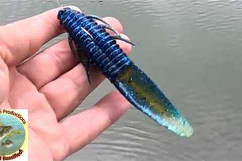This Bait Looks Alive In The Water!