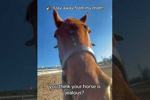 Ultimate Funny Horse Fails Compilation#FunnyHorses #GoofyHorses #HorseFails #AnimalCompilation