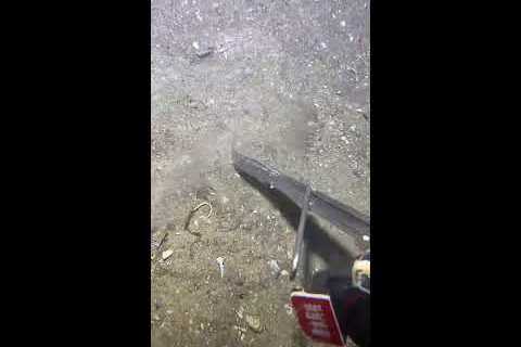 🔱 INSANE Spearfishing Live! Giant Fish Underwater 🌊 2026-05-07