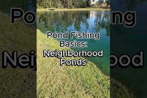 How to Fish a Neighborhood Pond #bassfishing #fishing #fishingtips #pondfishing