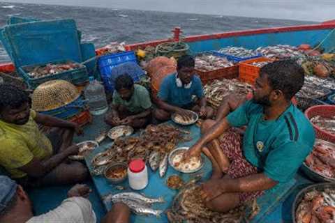 Surviving Days in the Deep Sea 🌊🔥 Catch, Cook &amp; Eat Adventure