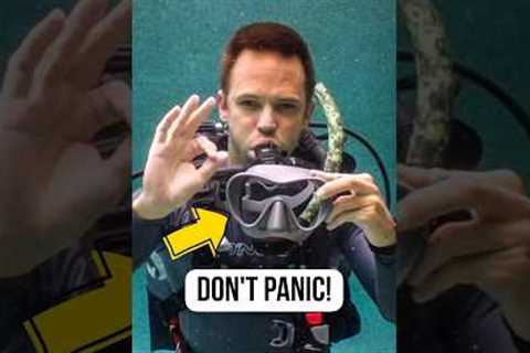 Scuba mask fell off? Don’t panic, do this!