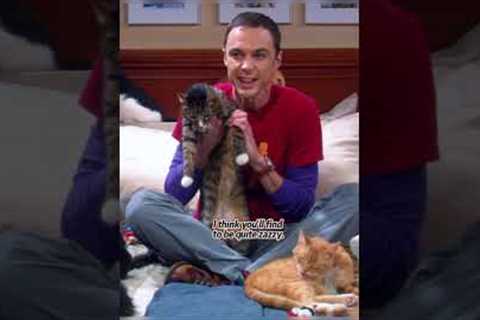 Mom used her wisdom to mend Sheldon's emotional rift