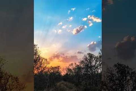 Creative Photography I Tips &amp; Tricks with Phone using Pro Mode 📸 I Mobile Photography Hacks🔥