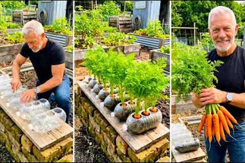 15 Easy Gardening Tricks Anyone Can Try DIY Garden Ideas