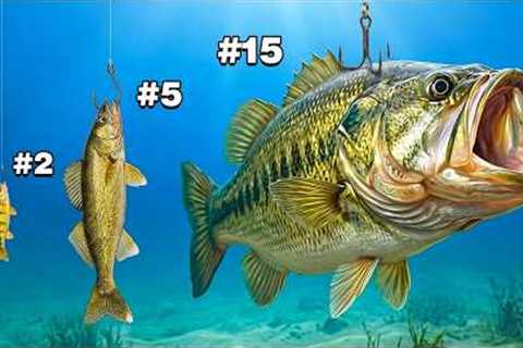 Every Fish I Catch Becomes My Bait!