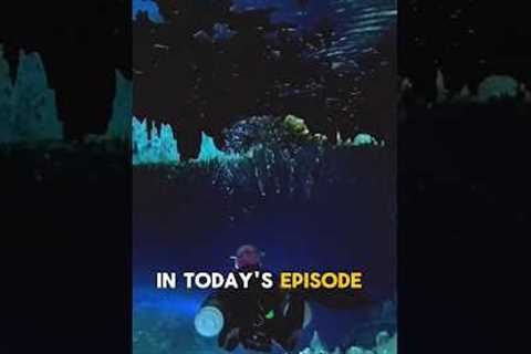 😮 NEW EPISODE with a CAVE DIVE Under a City in Indonesia! #cavediving #scubadiving