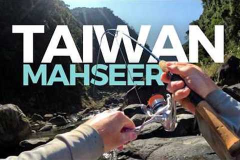 you can catch this fish in taiwan!? Peak adventure fishing