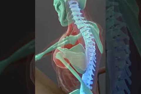 Best Stretch for Side Neck Pain and Nerve Tension #shorts