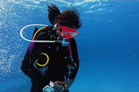 Mauritius 2026 - Luxury Scuba Diving