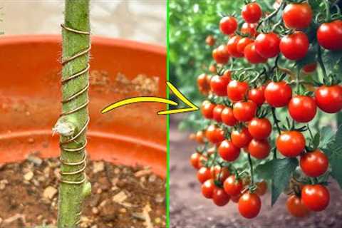 Backyard Science: 10 Gardening Experiments That Defy Nature (Garden Science Projects)