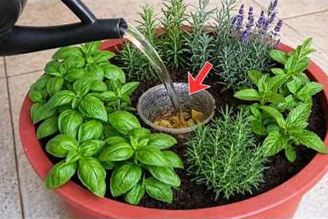 The Genius Pot Gardening Trick Every Woman Should Try at Home