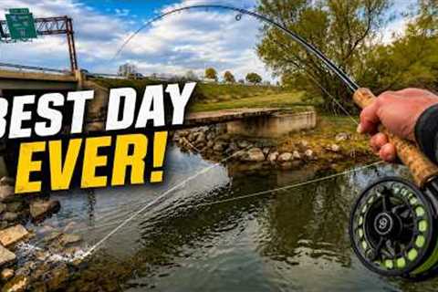 Best Brown Trout Fishing I've Ever Experienced Right UNDER the Highway