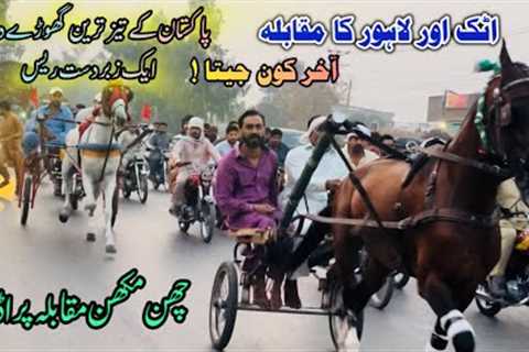 Chan Makhan Vs Parado Horse Race In Pabbi Road 10/05/2026 #ChanMakhan #Parado #HorseRace #PabbiRoad