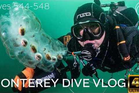 SCUBA Monterey Dive Travel Vlog - Monterey, CA, 2026 - 4k