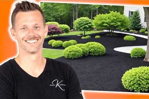 EASY Landscape Design Ideas for 2026