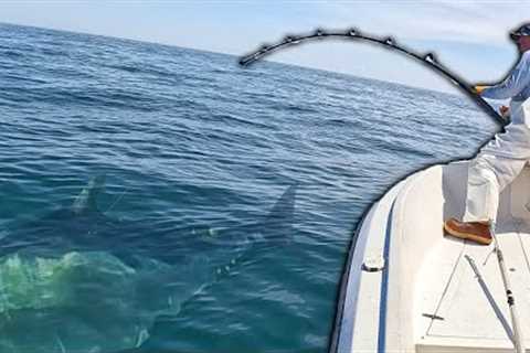 GIANT Bluefin Tuna Fishing Goes Horribly Wrong