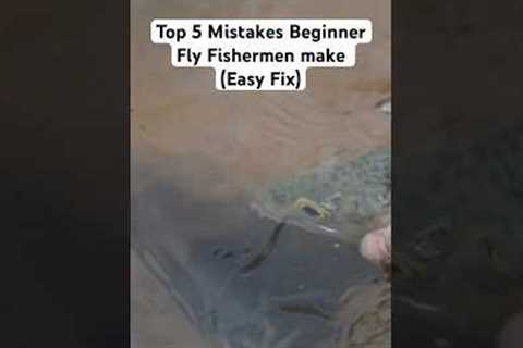 5 Mistakes Beginner Fly Fishermen Make (EASY FIX) #fishing #flyfishing #shorts