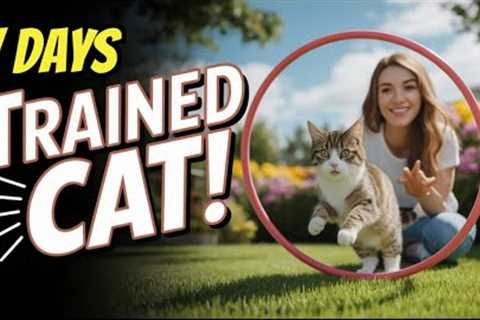 Train Your CAT to do Fun TRICKS - Here's How in 7 Days