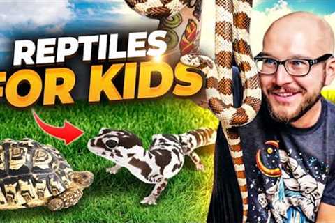 Top 5 BEST Reptiles For Kids! | Family Friendly Reptiles!