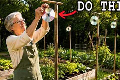 40 Must-Do Garden Tips in May That Will Double Your Harvest This Year