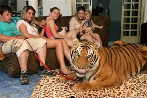 Living With Tigers: Family Share Home With Pet Tigers