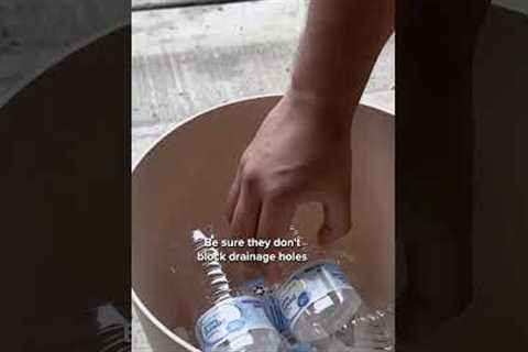 Why You Should Fill Flower Pots With Empty Water Bottles