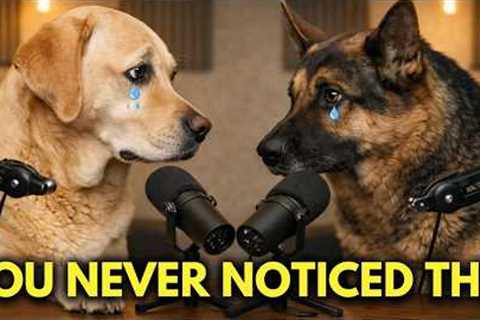 You’re Ignoring What Your Dog Is Really Telling You.. And It Shows.