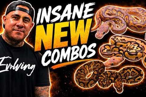     WE’RE BACK… With NEVER Before Seen Combos !! 