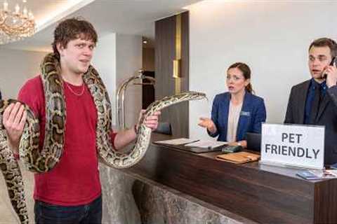 I Tested 'PET FRIENDLY' Hotels With Exotic Animals