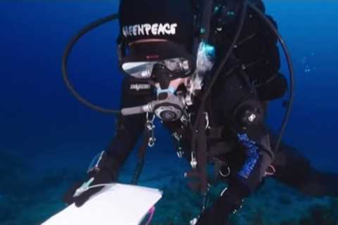 Five Italian divers killed in cave dive in the Maldives