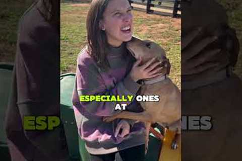 Celebrities can be genuinely kind people