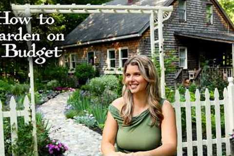 Create a Dream Garden on a Tiny Budget – 7 Must-Know Tips! + Designing a Whole Garden for ONLY $120
