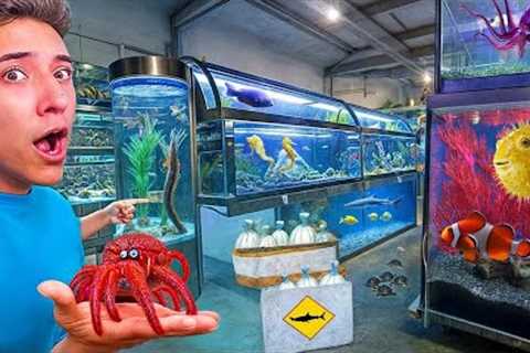 I Discovered a Store Full of the Most Bizarre Exotic Pets