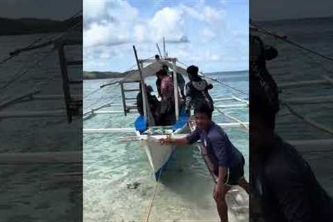 A Clique Of Critters Republic Scuba Divers/ Romblon Trip 2026