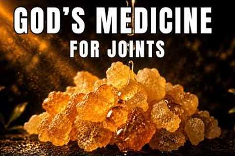 10 Biblical Herbs to 'Revive' Aging Joints - Ancient Secrets for Natural Healing